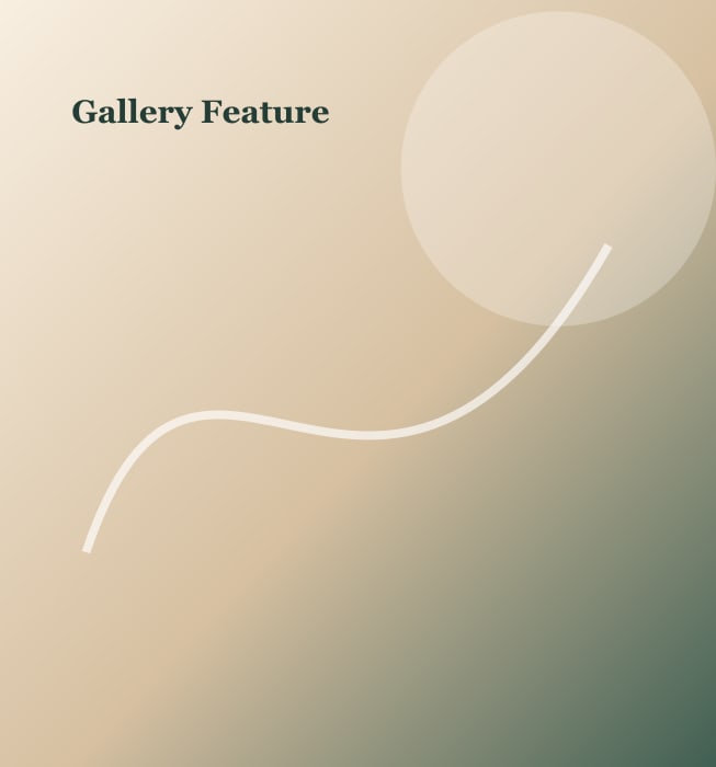 Into the Wild exhibition by Rosemary Conroy